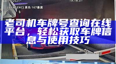 老司机车牌号查询在线平台，轻松获取车牌信息与使用技巧